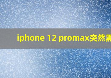 iphone 12 promax突然黑屏